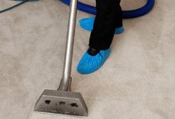 Carpet Cleaning Hornsey